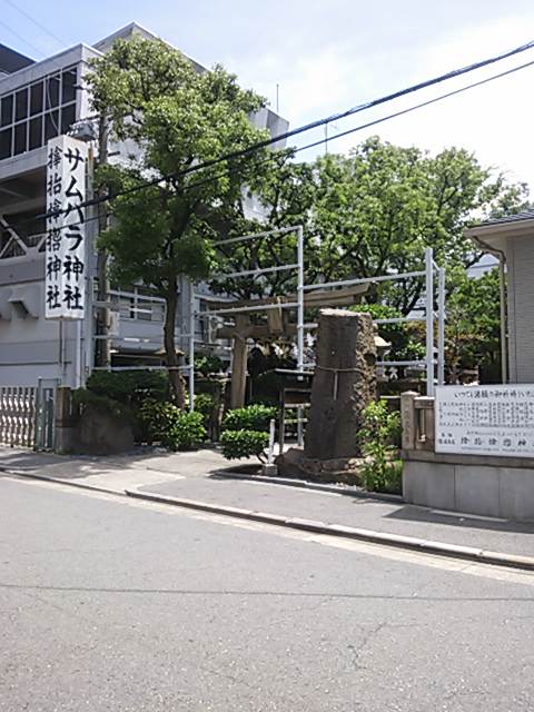 samuhara (4)