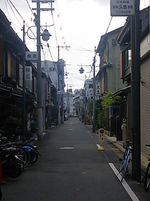 imazatosinchi (5)