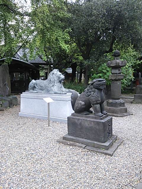mimegurijinjya (4)