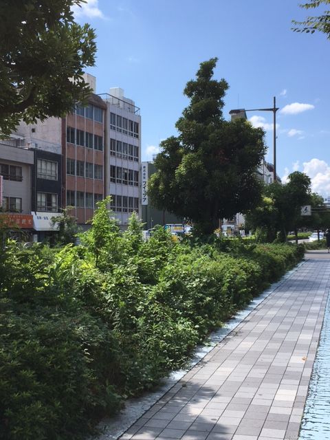 kanatuen