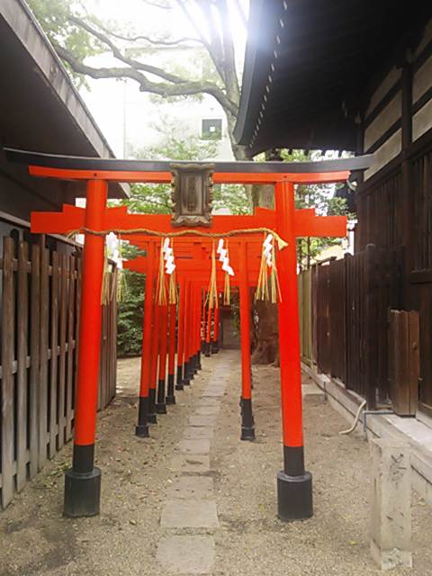 horikosi