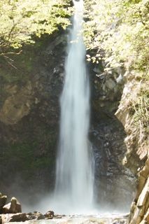 IMG_7948 (213x320)