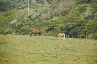 IMG_6740 (320x213)