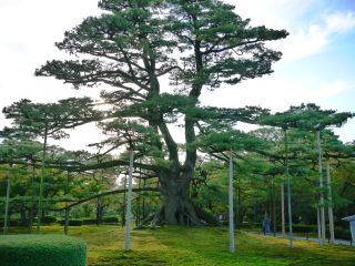 P1000755