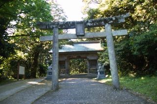 IMG_8018 (320x213)