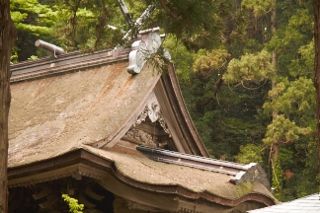 IMG_6627 (320x213)