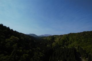 IMG_7904 (320x213)
