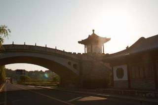 IMG_8039 (320x213)