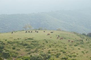 IMG_6747 (320x213)