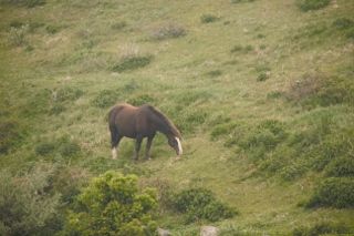 IMG_6638 (320x213)
