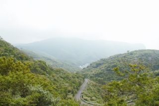 IMG_6741 (320x213)