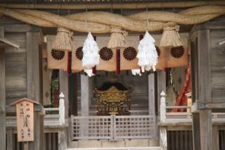 IMG_6419 (320x213)