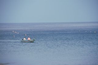 IMG_6478 (320x213)