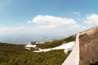 IMG_7722 (320x213)