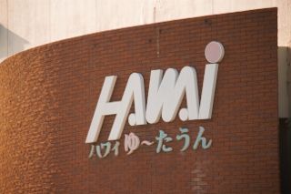 IMG_8042 (320x213)