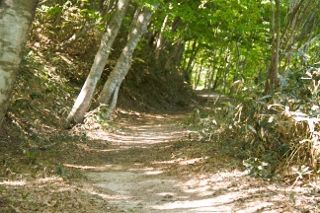 IMG_7929 (320x213)