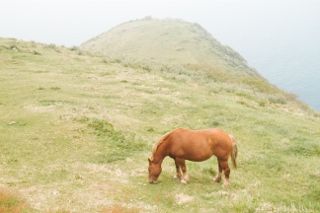 IMG_6672 (320x213)