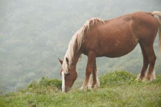 IMG_6751 (320x213)