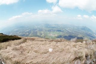IMG_7726 (320x213)