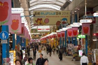 IMG_9658 (320x213)