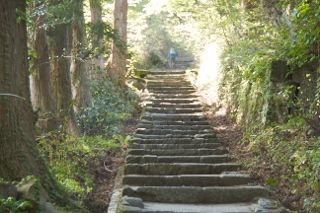 IMG_7628 (320x213)