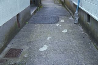 IMG_6585 (320x213)