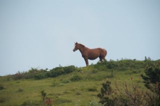 IMG_6745 (320x213)