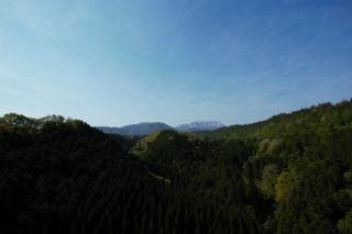 IMG_7896 (320x213)