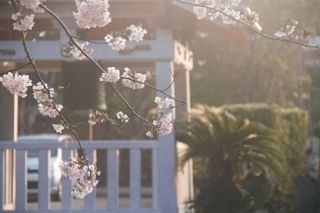 IMG_9485 (320x213)