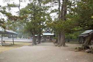 IMG_6417 (320x213)