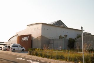IMG_8041 (320x213)