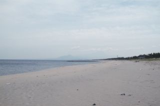 IMG_7001 (320x213)
