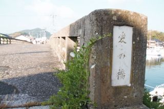 IMG_6569 (320x213)