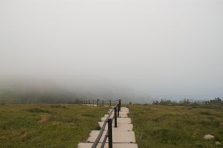 IMG_6684 (320x213)