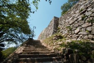 IMG_8217 (320x213)