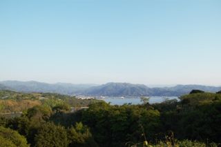 IMG_8046 (320x213)