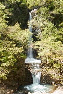 IMG_7938 (213x320)