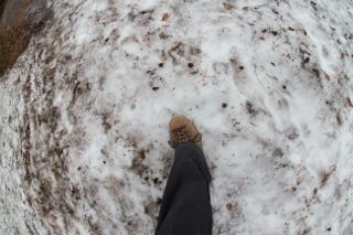 IMG_7741 (320x213)