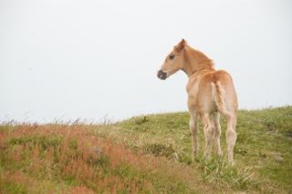 IMG_6663 (320x213)