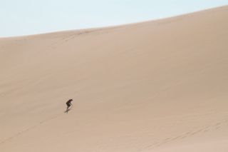 IMG_8259 (320x213)