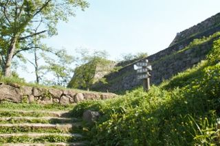 IMG_7812 (320x213)