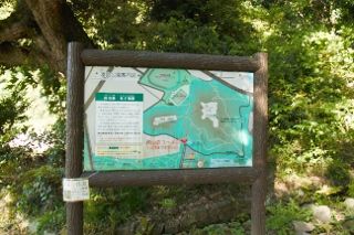 IMG_7807 (320x213)
