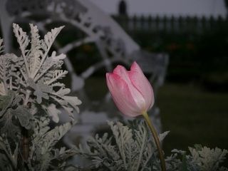 P1040061 (320x240)