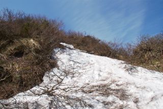 IMG_7659 (320x213)