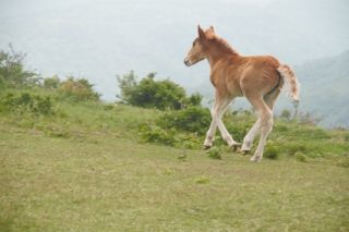 IMG_6755 (320x213)