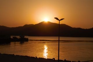 IMG_6551 (320x213)