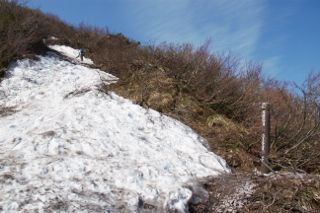 IMG_7656 (320x213)