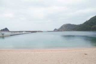 IMG_6455 (320x213)