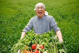 ダウンロード (1)