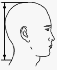 headnecklength-g